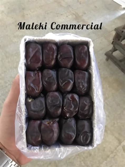 saber maleki  linkedin exportermedicinalplant malekicommercial