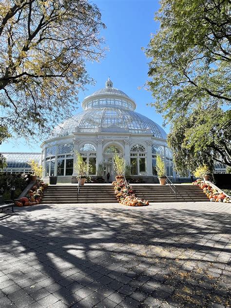 Autumn Color at the New York Botanical Garden - Living Greenwich