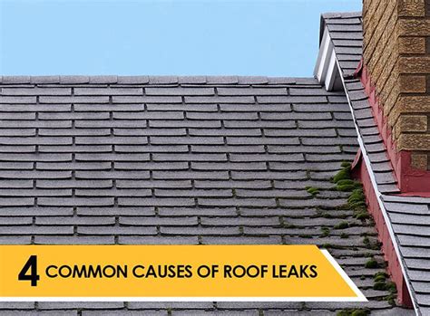 4 Common Causes Of Roof Leaks