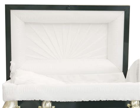 Dictionary updates show repass or repast will both remain accepted 1