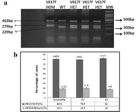 A Schematic Representation Of Agarose Gel Image Showing Band Pattern Of