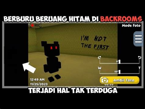 Aku Masuk Backrooms Dan Berhasil Menangkap Beruang Hitam Pakai Mode