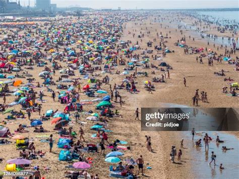 6,259 Den Haag Beach Stock Photos, High-Res Pictures, and Images ...