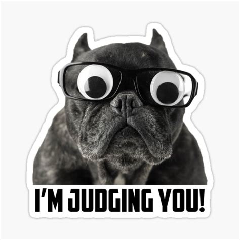 "I'm judging you - Funny Pug Dog Meme" Sticker for Sale by T-shirt-Designs | Redbubble