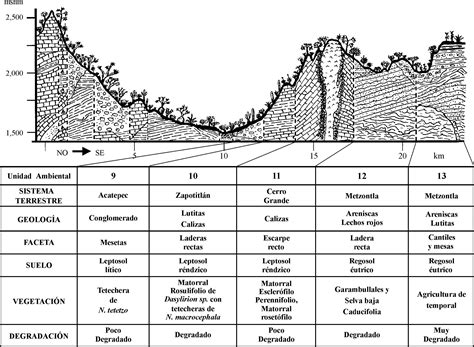 Bolet N De La Sociedad Geol Gica Mexicana