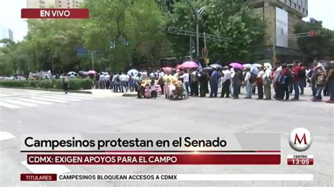 Campesinos Protestan En El Senado Grupo Milenio