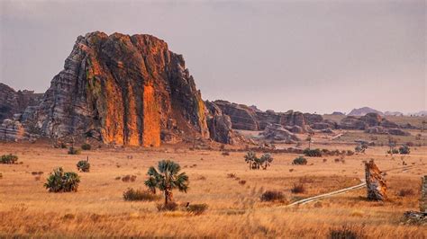 Discover Amazing Facts About Madagascar, The World’s Fourth Largest ...