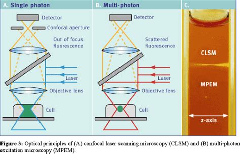 Optical Scanner Vs Laser Scanner