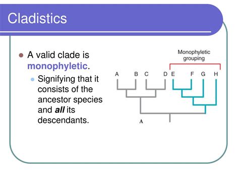 Ppt Phylogeny And Systematics Powerpoint Presentation Id542640