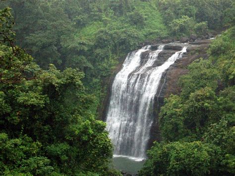 15 Best Waterfalls in Maharashtra (2025)