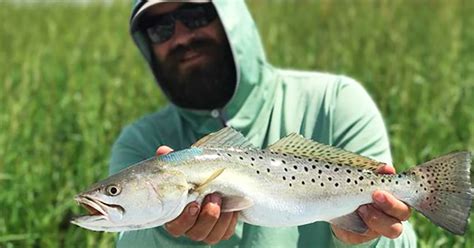 How To Catch Speckled Trout In The Summer Best Spots Lures And More