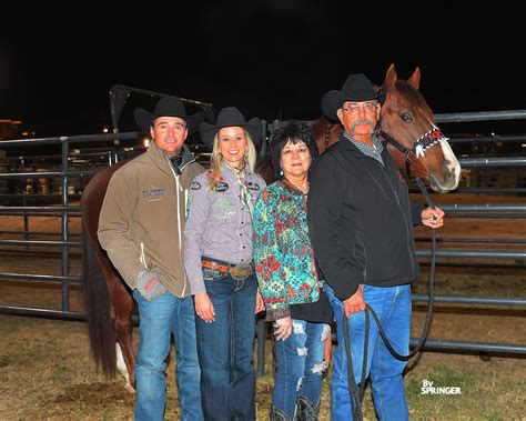 Freckles Ta Fame — Outlaw Equine Hospital Rehab And Center