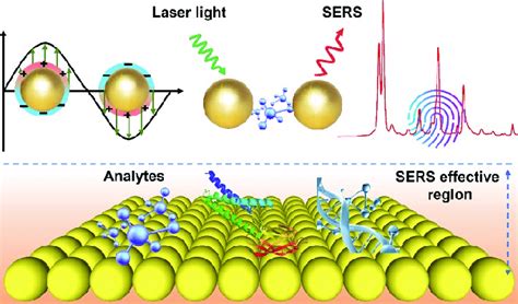 Schematic Illustration Of The Mechanism Of SERS For Detection Of