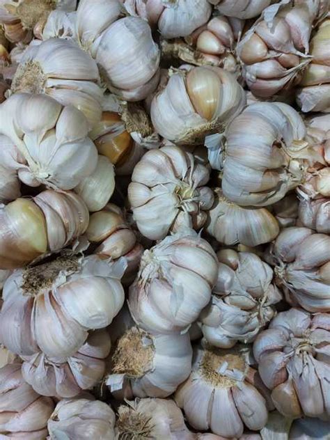 BAWANG PUTIH HONAN BERSIH 1KG Lazada Indonesia