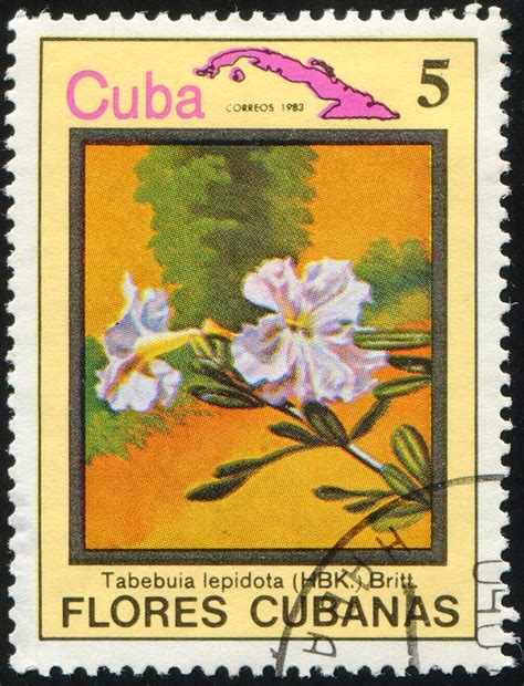 CUBA CIRCA 1983 Stamp 5 Cuban Centavo Printed By Cuba Shows