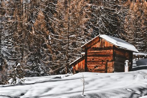 Free Images Snow Winter Tree Log Cabin Shed Freezing Shack