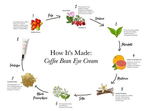 How To Apply 100 Pure Coffee Bean Eye Cream For Best Results - RYZE Superfoods