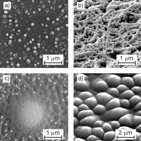 Sem Images Of Micro And Nanostructures Created In Different Materials