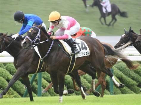 【京都4r新馬戦結果】バンドワゴン産駒のバンドシェルが差し切りv！ ライブドアニュース