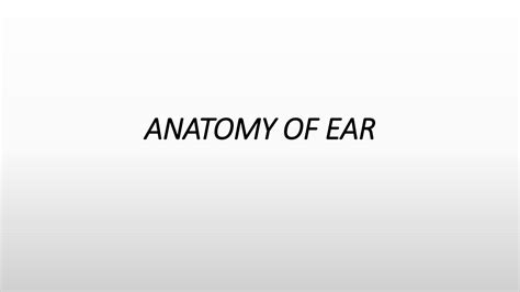 Pdf Anatomy Of Ear Himsr Dokumen Tips