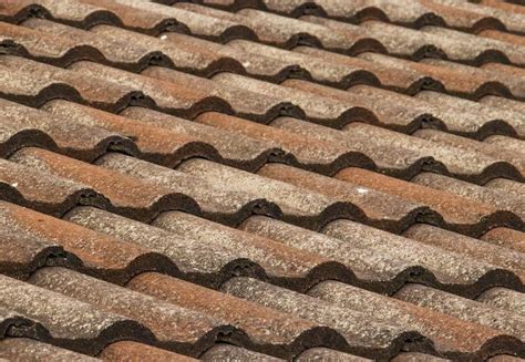 Top 8 Summer Roof Maintenance Tips Organize With Sandy