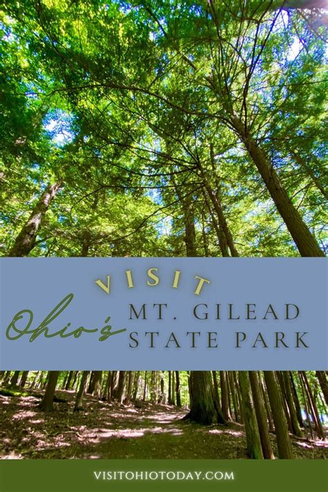 Mt. Gilead State Park is a lovely small park that is very secluded. The park is open all year ...