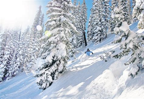 As The Bullwheel Turns Wolf Creek Ski Area Colorado