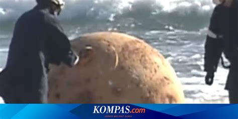 Bola Besi Besar Misterius Terdampar Di Pantai Jepang