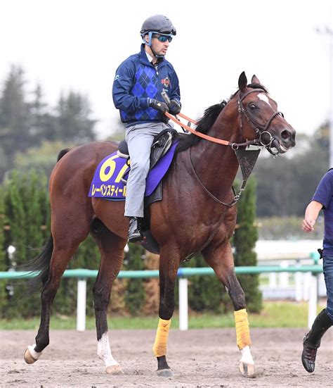 【天皇賞】レーベンスティール 重賞連勝の勢い＆絶好調ルメールの手綱 データも導く一気悲願のg1奪取 競馬ニュース Netkeiba