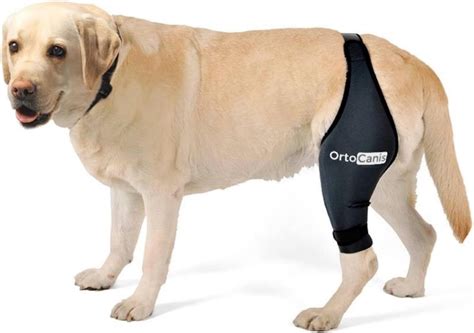 Ortocanis Tutore Per Il Ginocchio Del Cane Lesioni Ai Legamenti