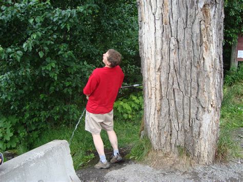 My Dad Pretending To Pee At The Peeing Tree Trip To New Ai Daftsex Hd