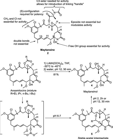 Antibody Drug Conjugate Structure