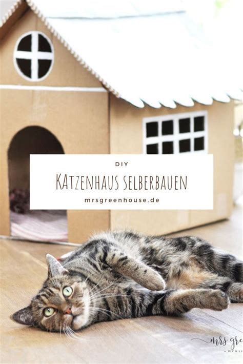 Katzenhaus Aus Pappe Bauen Mit Anleitung Auf Mrsgreenhouse De Katzen