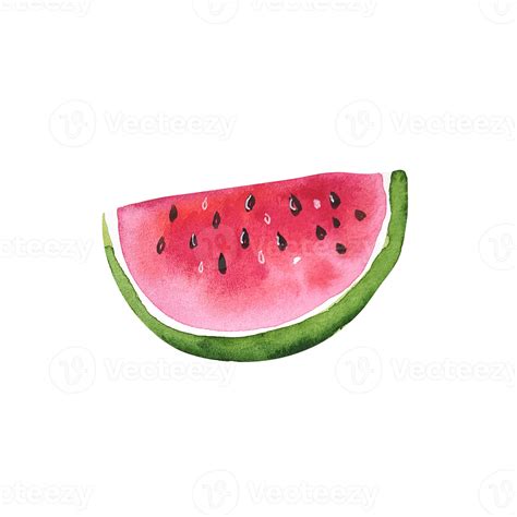 Watercolor Fruit Slice Of Watermelon 12066995 Png