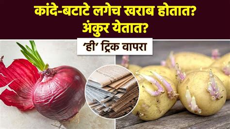 कांदे बटाटे साठवून ठेवल्यावर लवकर खराब होतात वापरा या सोप्या टिप्स । Kitchen Tips And Tricks