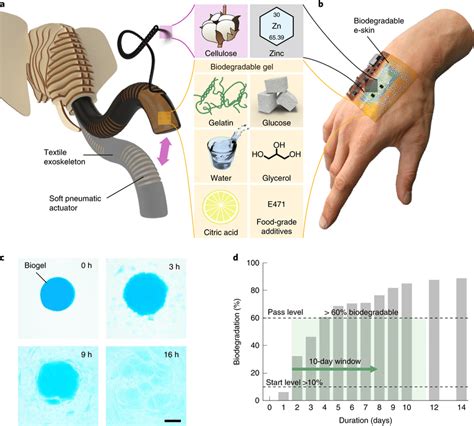 A Resilient Yet Fully Degradable Biogel A B Naturally Derived