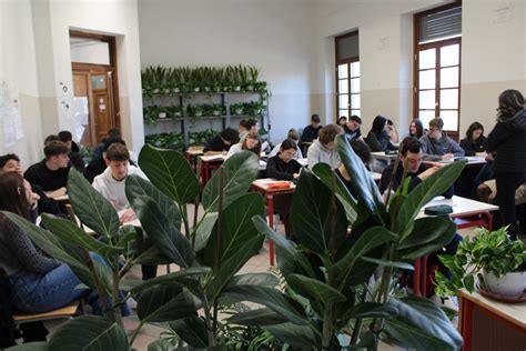 Partita La Seconda Fase Del Progetto Piante In Classe Di Coldiretti