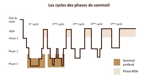 Ce qu'il faut savoir sur les phases du sommeil | Superba Atelier Suisse