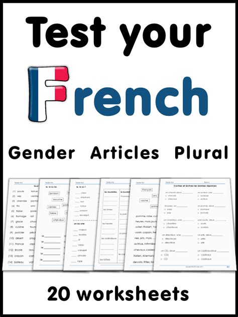 French Test Yourself Gender Articles Plural French Worksheets Worksheets And Gender