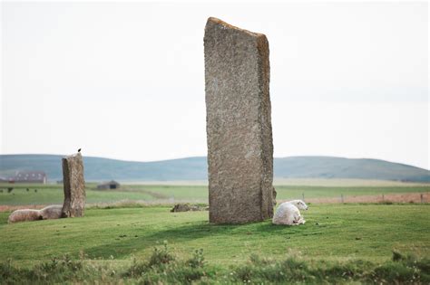 What's Open - things to see and do | Orkney.com