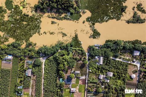 Hanoi Residents Swim In Red River Despite Rising Water Tuoi Tre News