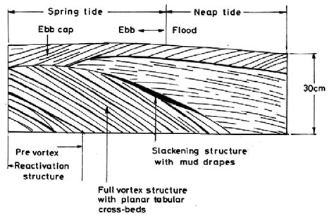 Planar Tabular Cross Bedded Unit Intercalated With Mud Drapes Towards