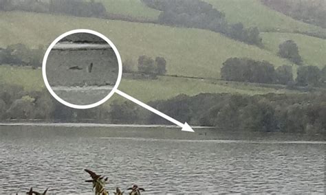 The Latest Loch Ness Monster Sightings In Interactive Charts