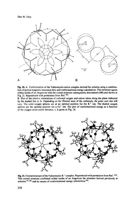 Valinomycin, structure - Big Chemical Encyclopedia