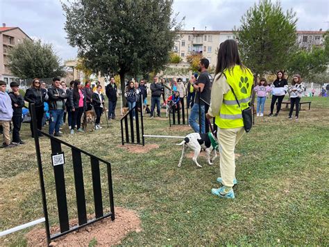 Fotos Fuenmayor Estrena Un Parque Interactivo Para Perros En La