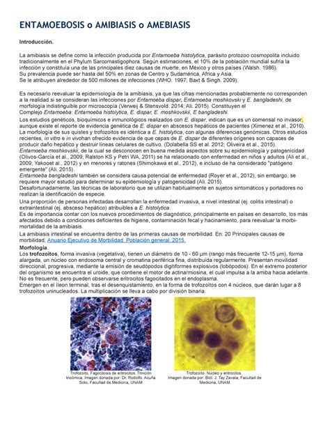 Entamoebosis O Amibiasis O Amebiasis Pr Cticas Importantes