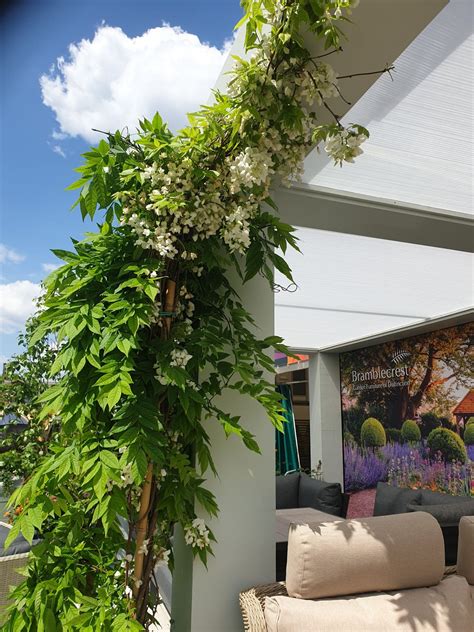 RHS Chelsea Flower Show | Transform Your Events with Natural Green