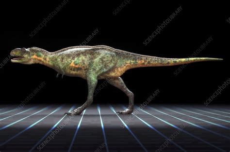 Aucasaurus Dinosaur Artwork Stock Image C Science Photo