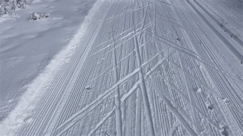 Some great skiing views in Pagosa Springs, CO 😍 : r/xcountryskiing