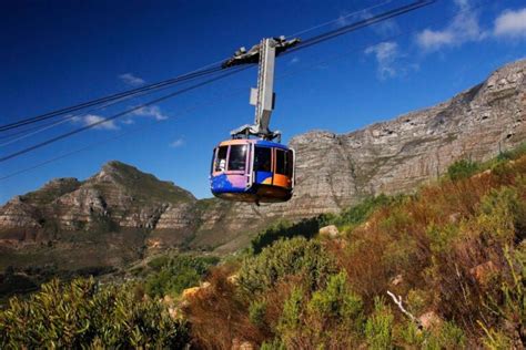 Table Mountain Penguins Cape Point Day Tour From Cape Town